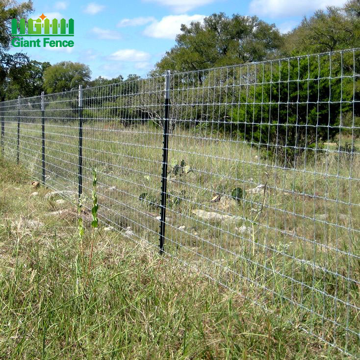 Galvanized Livestock Prevent Hinge Joint Page Wire Farm Field Fence